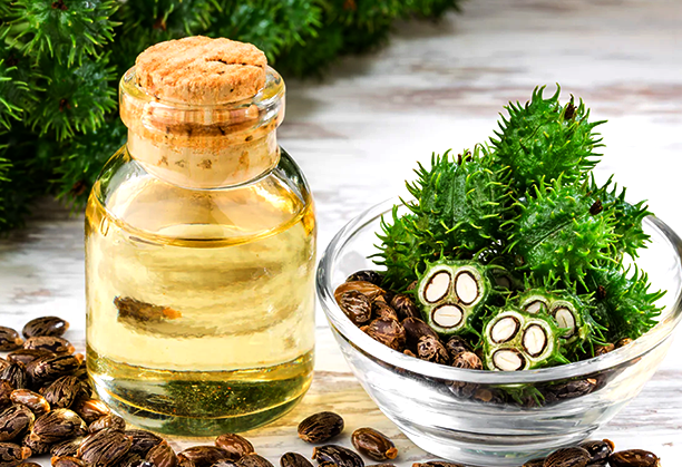 CASTOR OIL DERIVATIVES_IMAGE_02