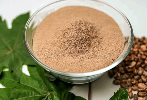 CASTOR OIL DOC_IMAGE_03